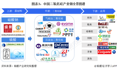 預見2022 《2021年中國二氧化硅產業全景圖譜》