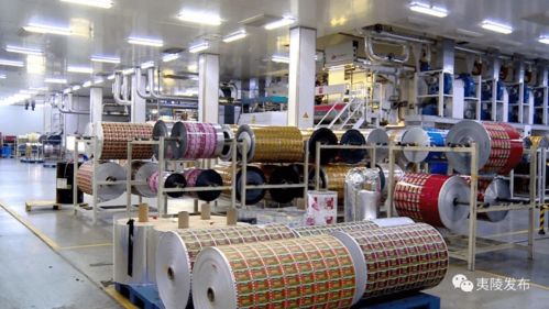 挺進北站新區 以新材料產業賦能城市發展“第三極”